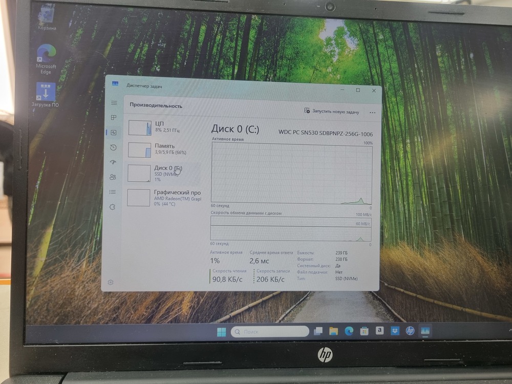 Ноутбук HP 15-eq1073 ur; Silver 3050U, HD Graphics, 8 Гб, 256 Гб, Нет