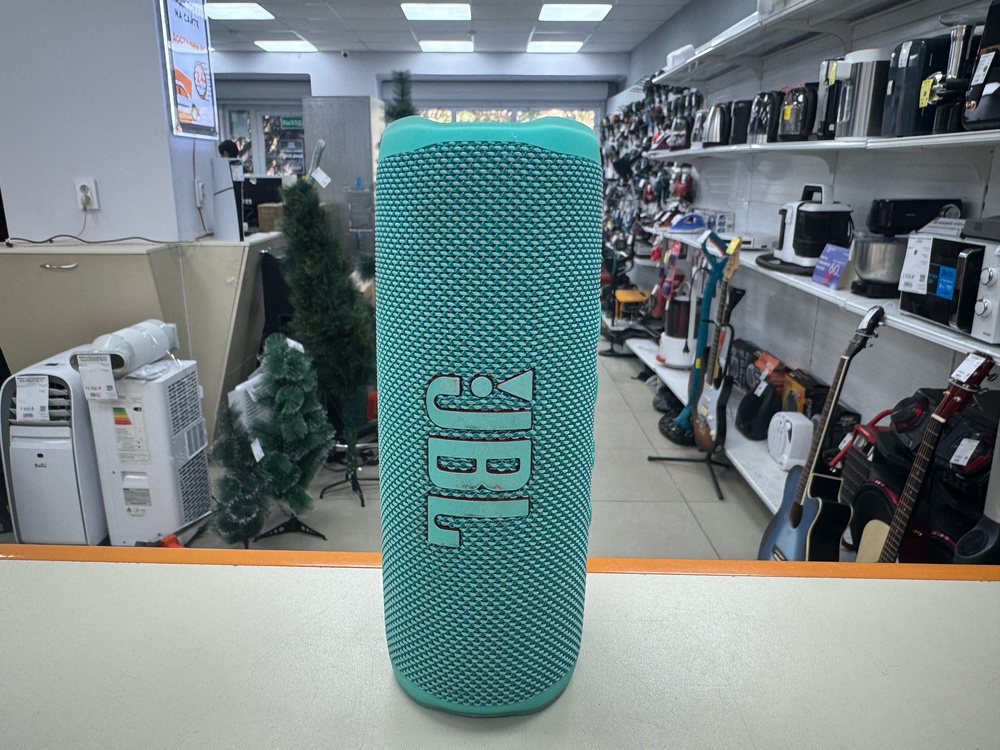 Портативная акустика JBL Flip 6;