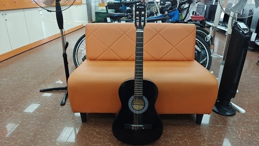 Гитара акустическая Terris TC-3801A
