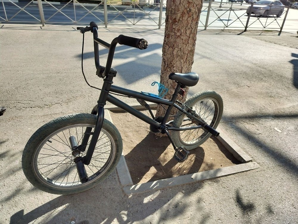 Велосипед BMX Tech Team Millennium