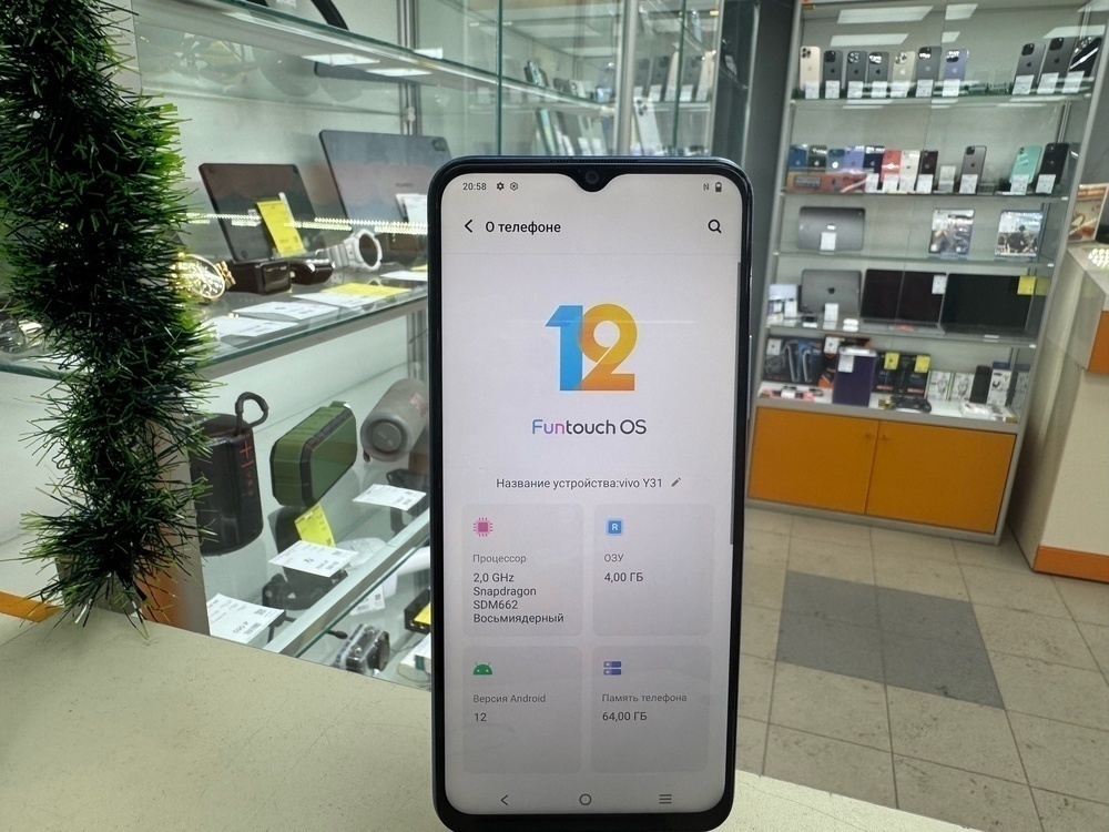 Смартфон Vivo Y31 4/64