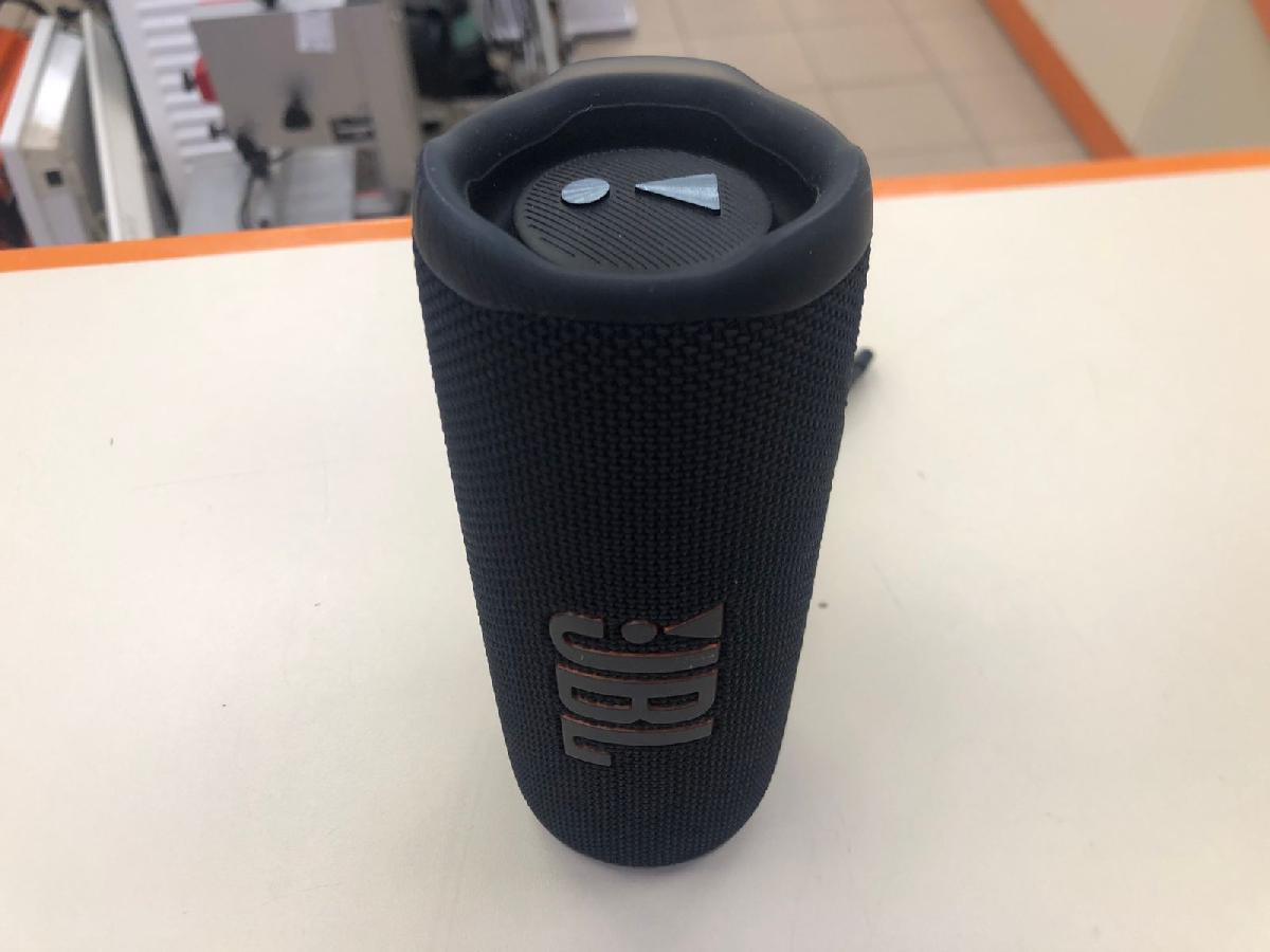 Портативная акустика JBL Flip 6;