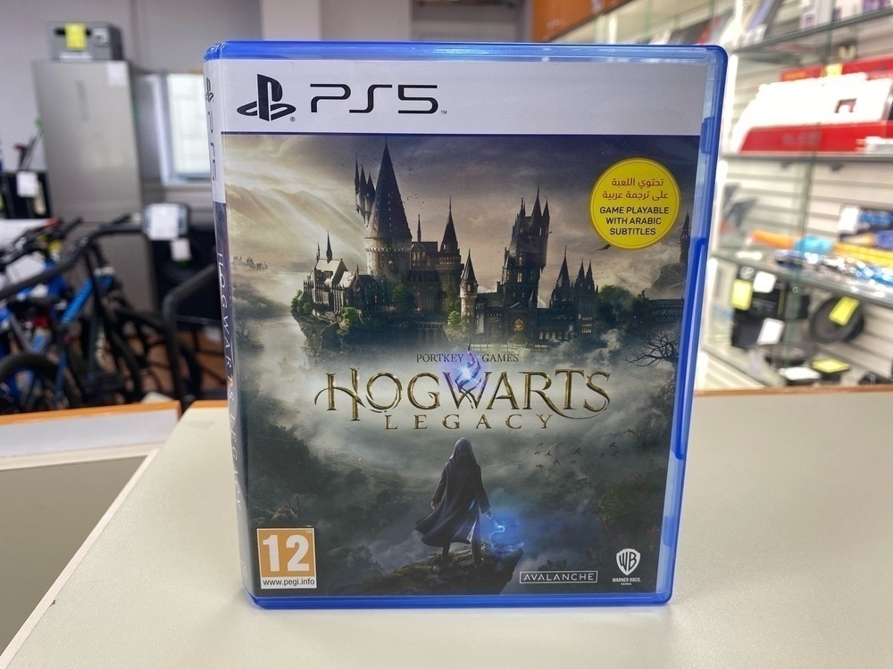 Игра Playstation 5 Hogwarts Legasy
