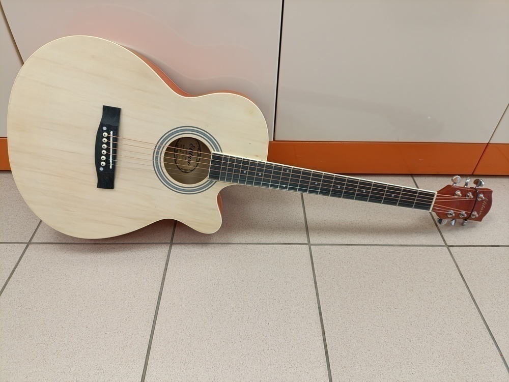 Гитара акустическая Elitaro E4020N