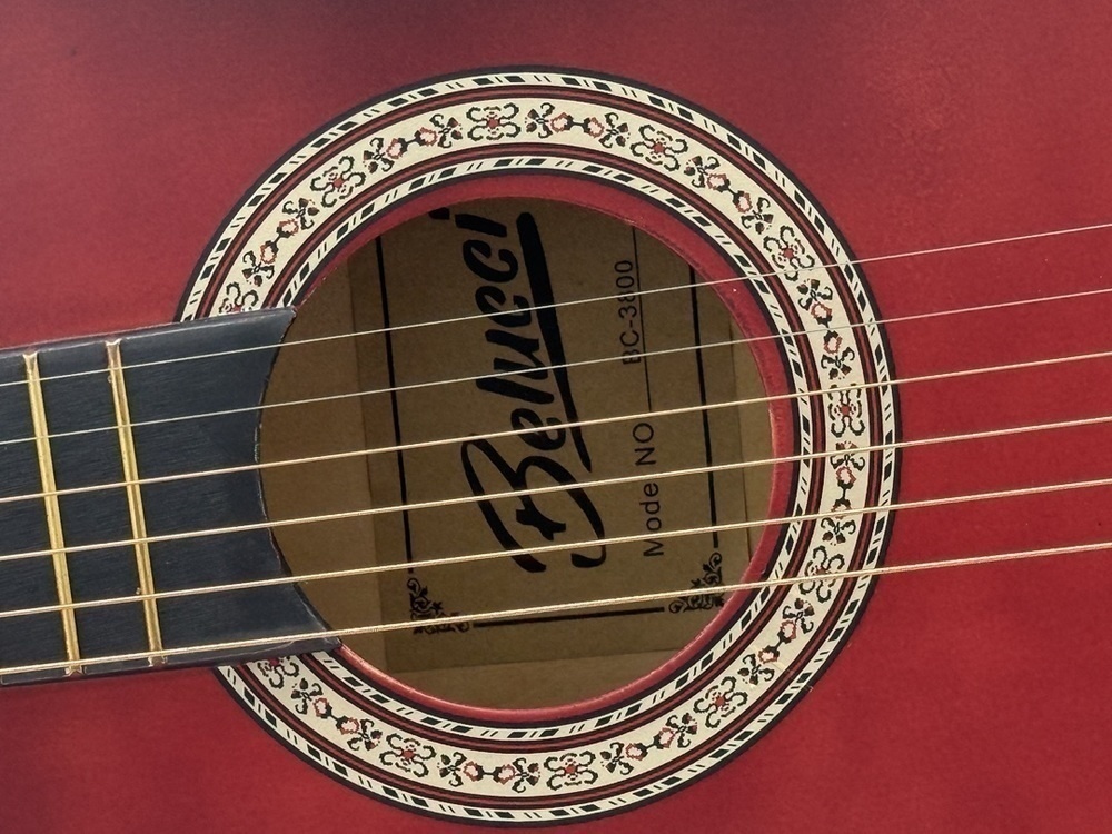 Гитара акустическая Belucci BC3800 RDS