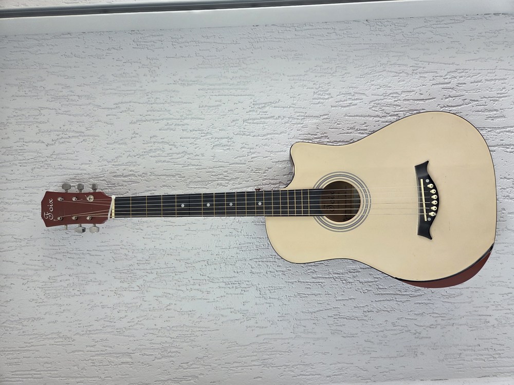 Гитара акустическая Foix FFG-3810C