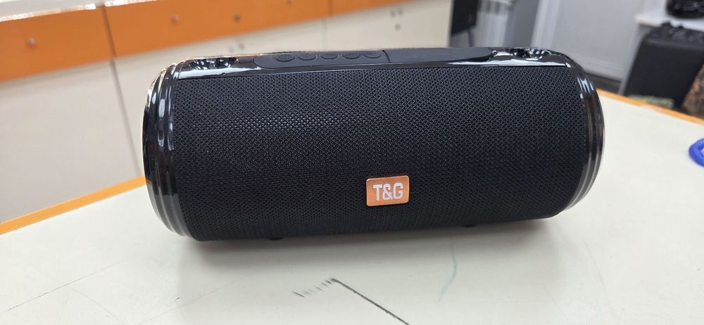 Портативная акустика T&G 113