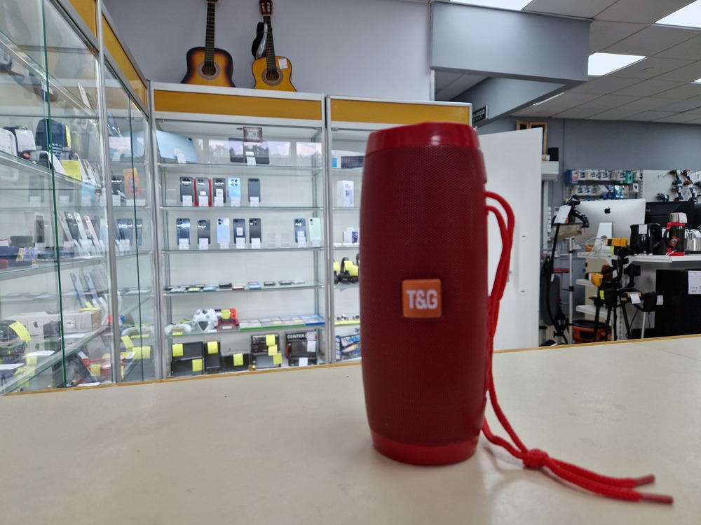Портативная акустика T&G TG-157;