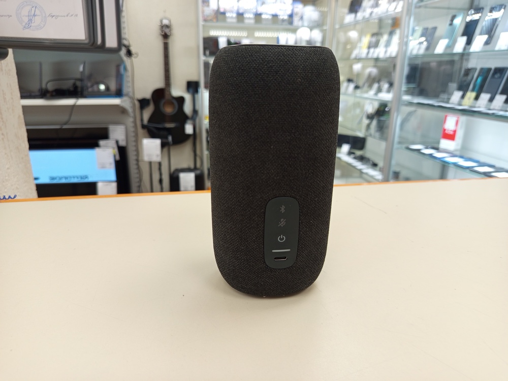Портативная акустика JBL Link Portable
