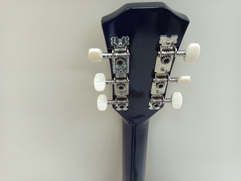 Гитара акустическая Belucci BC3830 VTS