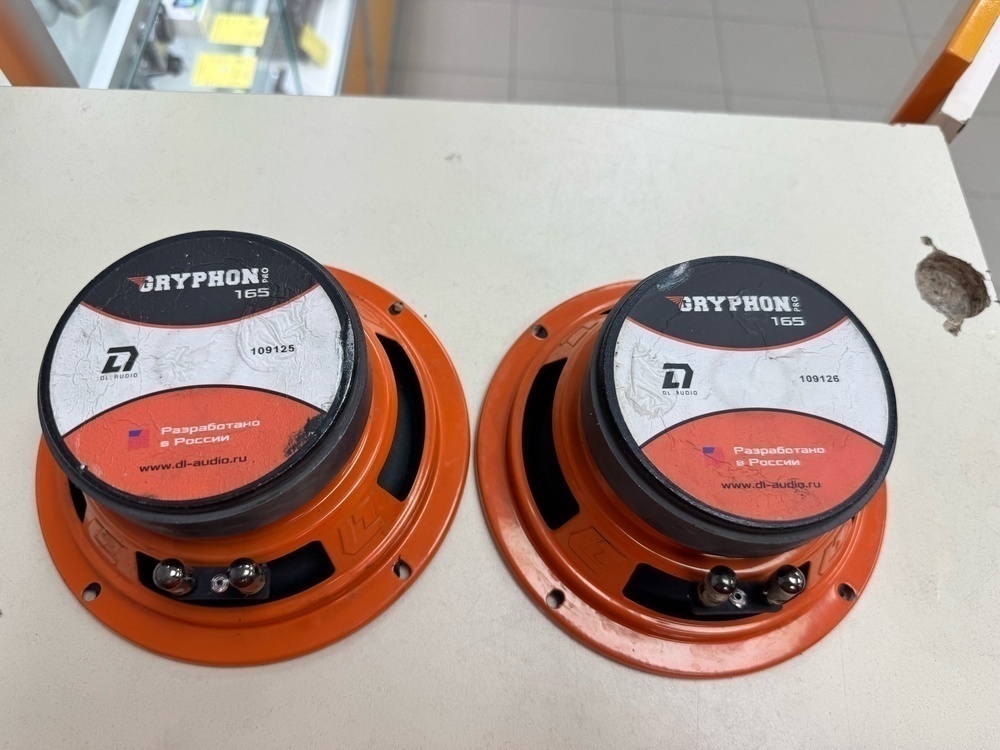 Автоакустика передняя DL Audio Barracuda 165