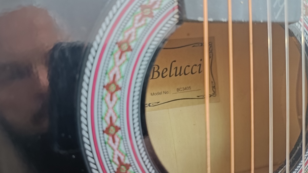 Гитара акустическая Belucci BC3405