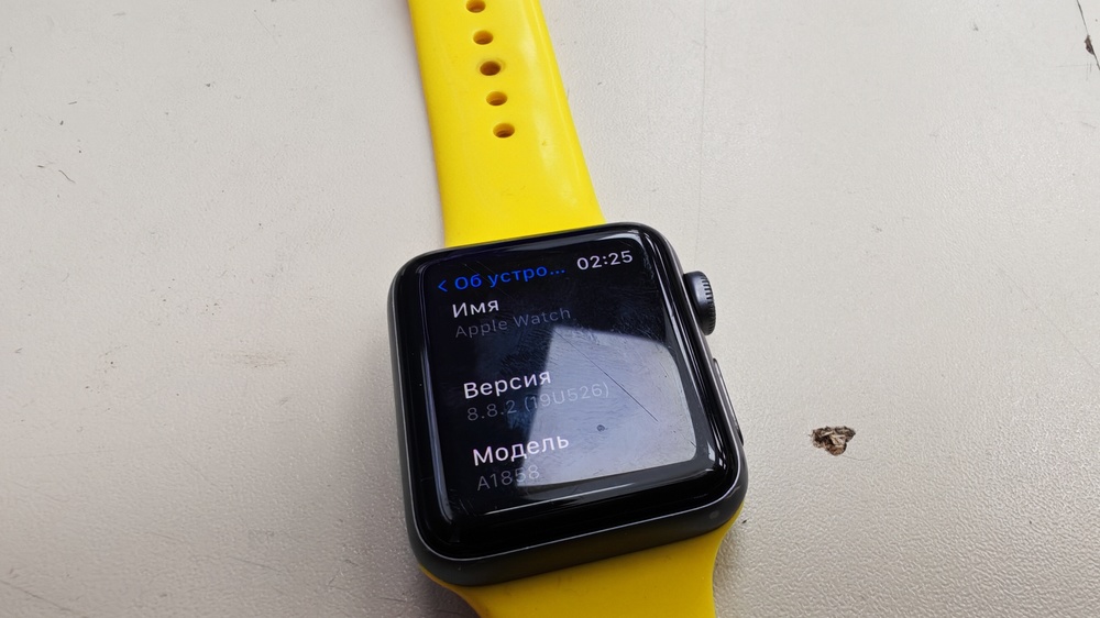 Смарт-часы Apple Watch Series 3 38 мм