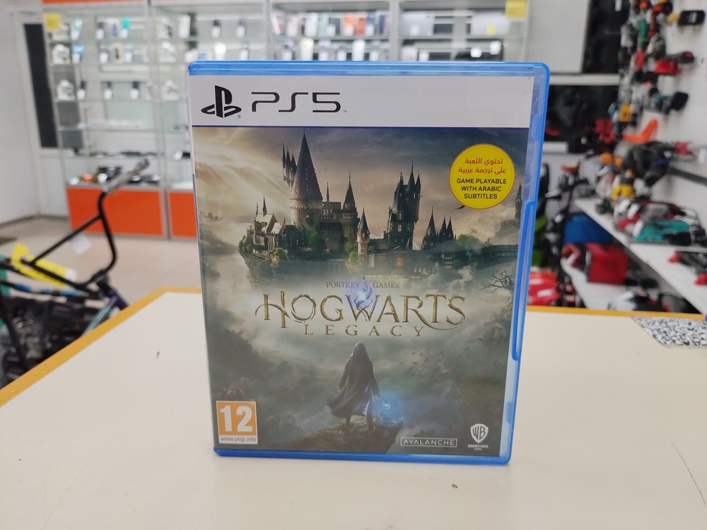 Игра Playstation 5 Hogwarts Legasy