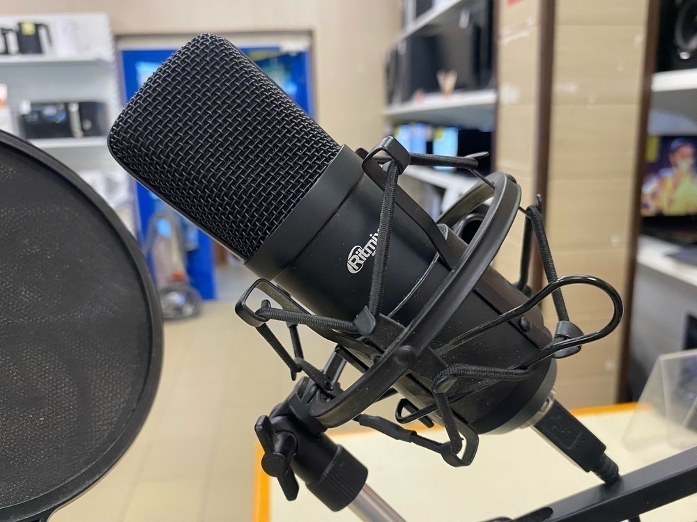 Микрофон RITMIX RDM 180