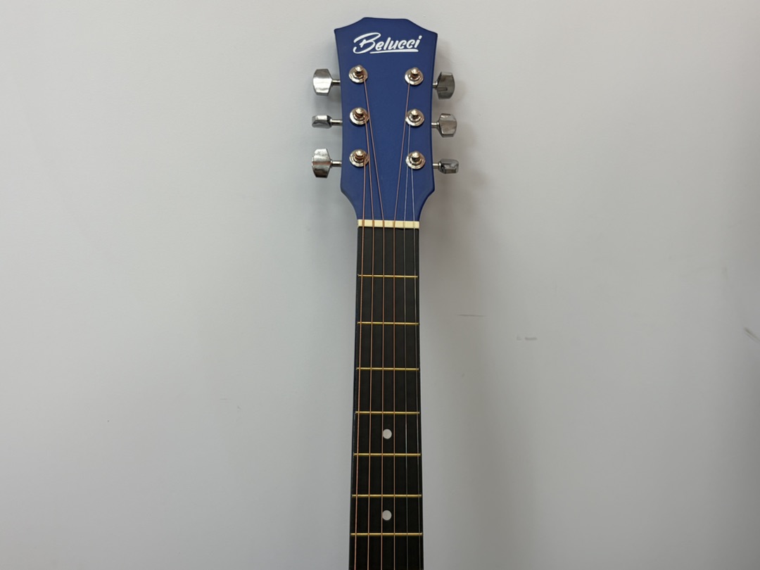 Гитара акустическая Belucci BC-C38 BLS