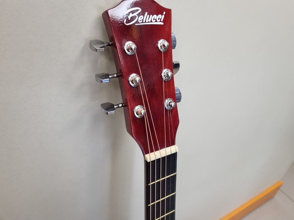 Гитара акустическая Belucci BC3810 SB