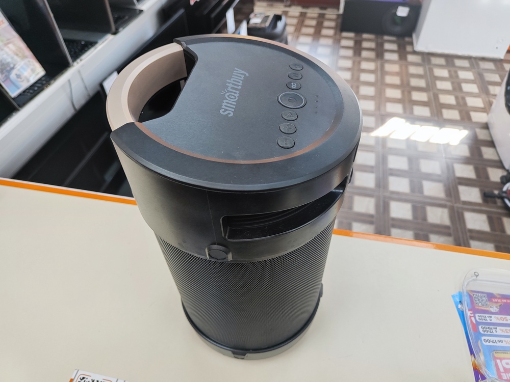 Портативная акустика SMARTBUY Z1