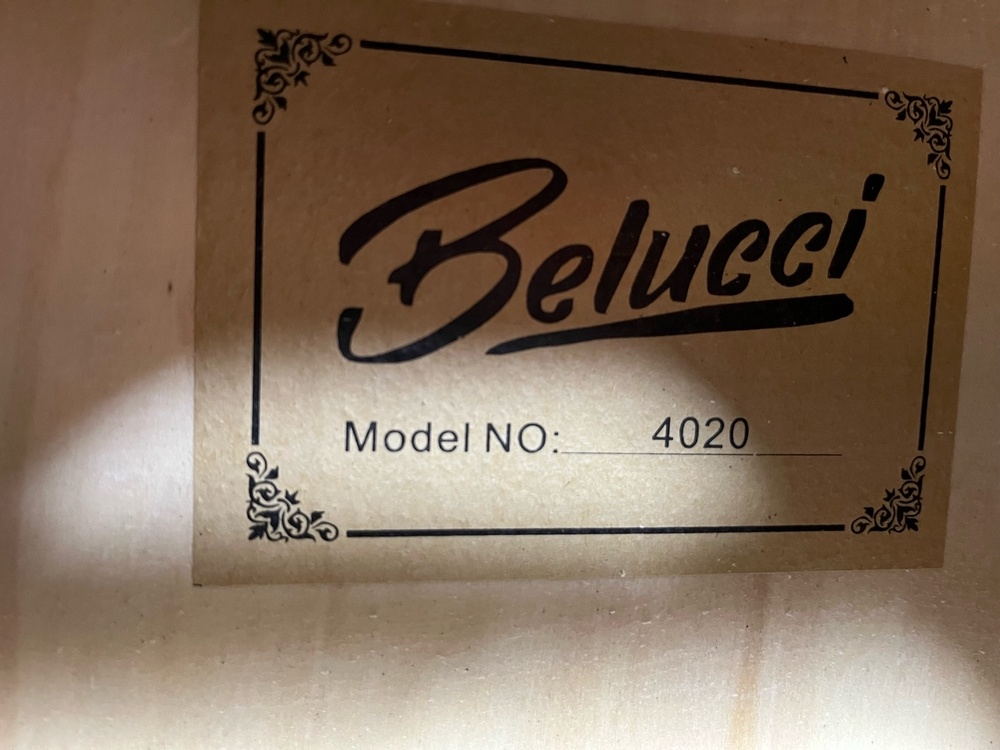 Гитара акустическая Belucci BC4020 BLS