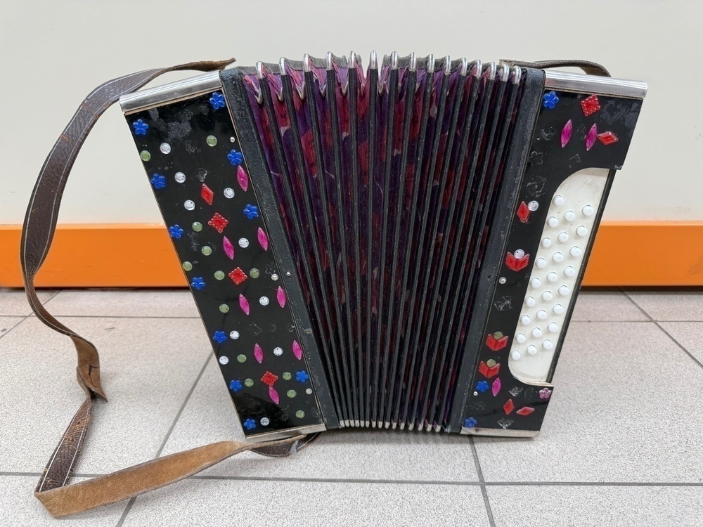 Баян Тула 123