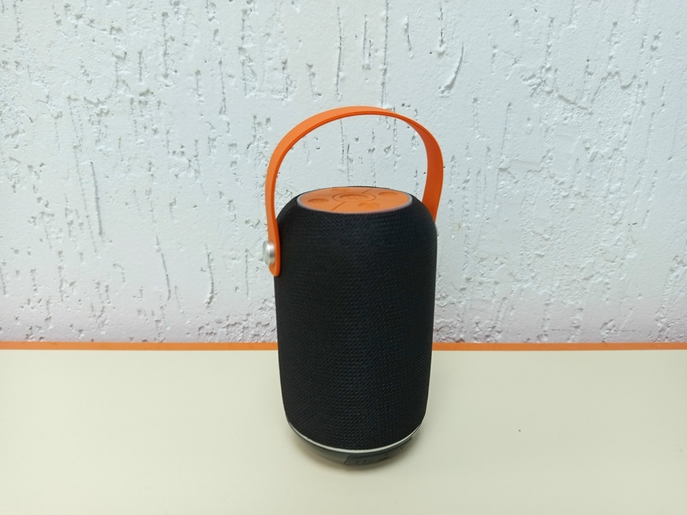 Портативная акустика T&G 113