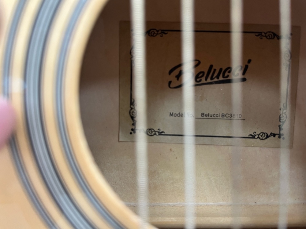 Гитара акустическая Belucci BC3810