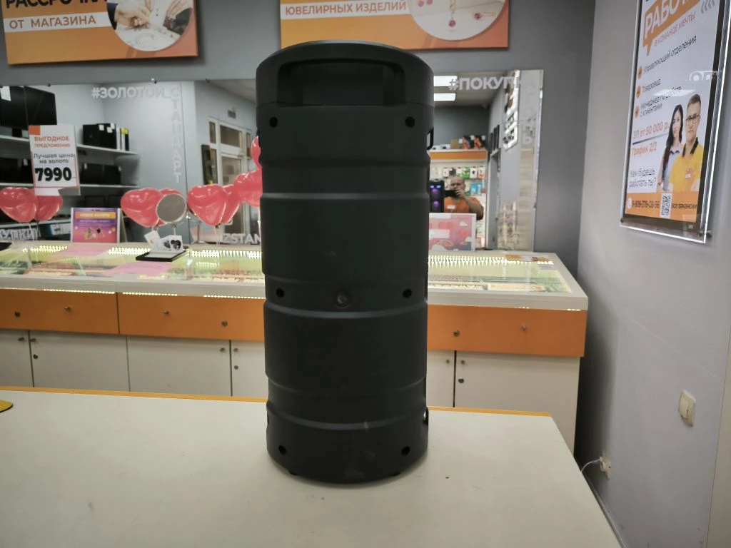 Портативная акустика T&G ST4239