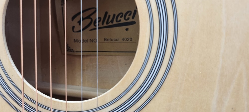 Гитара акустическая Belucci BC4020