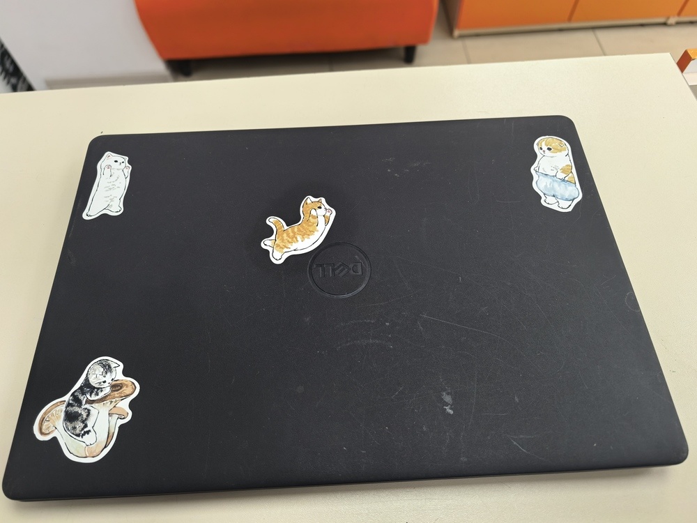 Ноутбук DELL; Ryzen 5 3450U, Radeon Graphics, 12 Гб, 240 Гб, 1 Tb