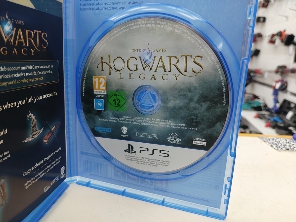 Игра Playstation 5 Hogwarts Legasy