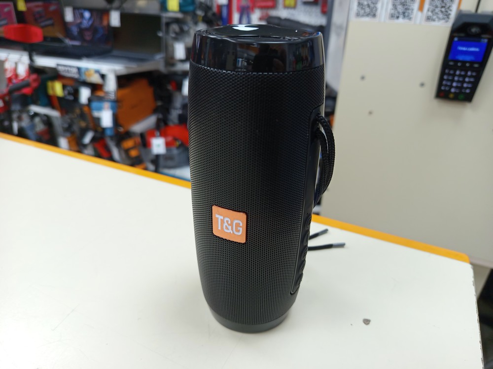 Портативная акустика T&G 113