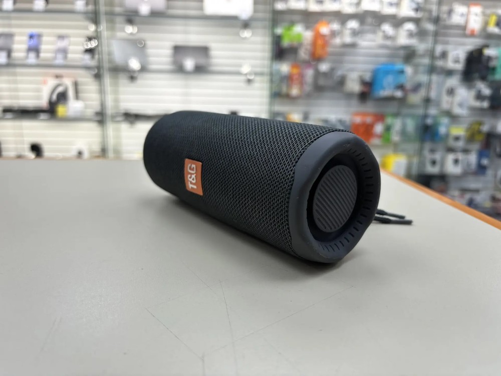 Портативная акустика T&G 