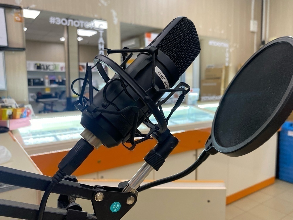 Микрофон RITMIX RDM 180