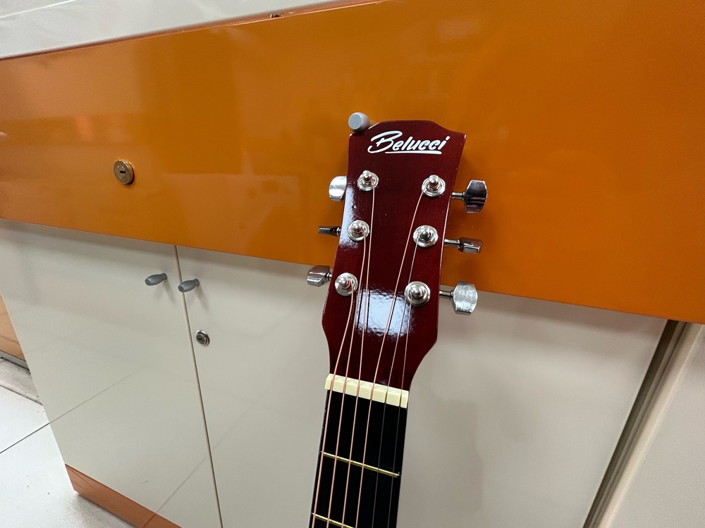 Гитара акустическая Belucci BC3810 SB