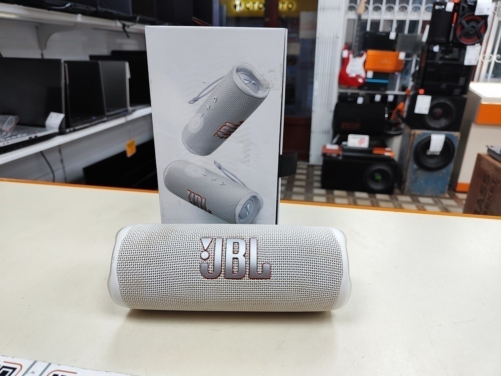 Портативная акустика JBL Flip 6;