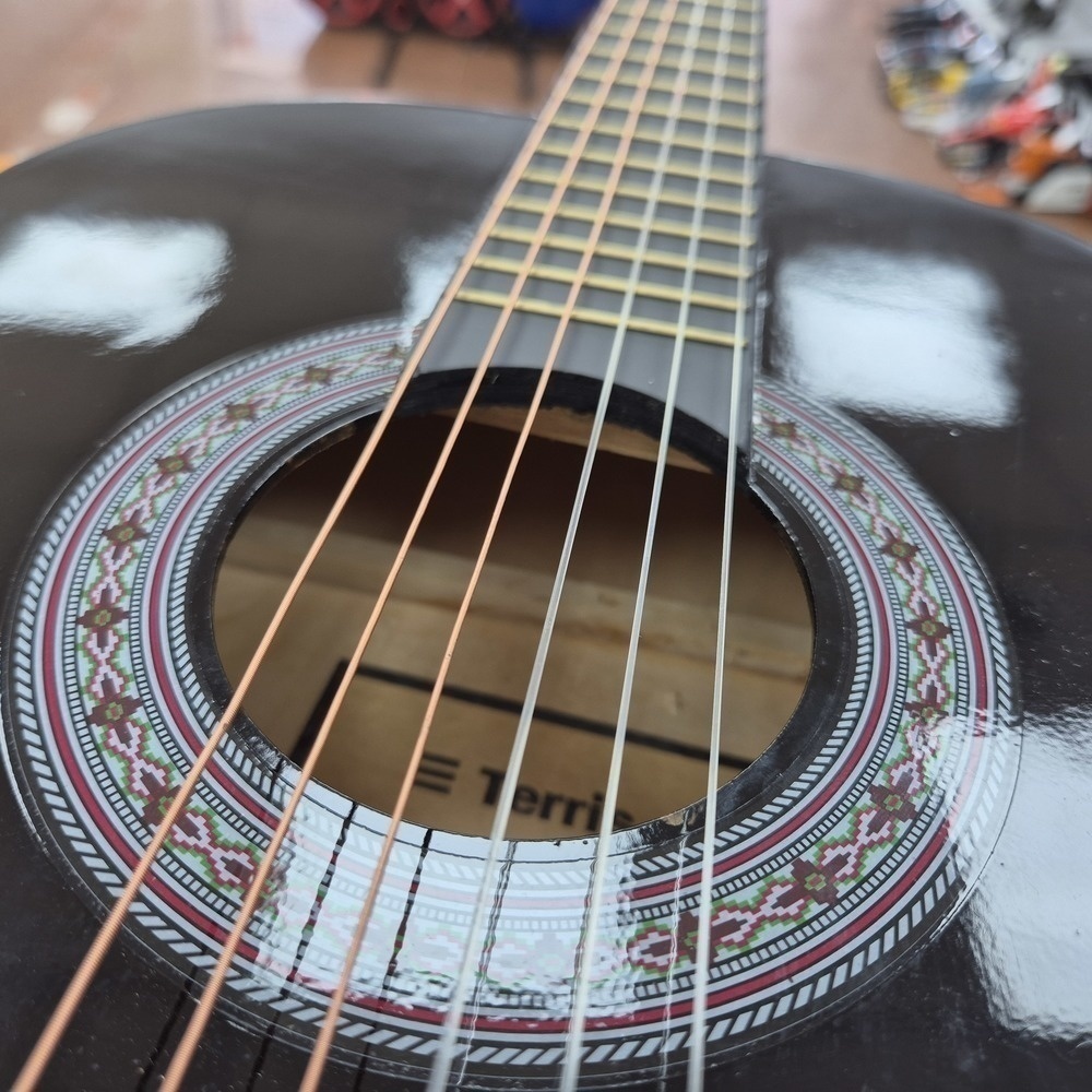 Акустическая гитара Terris ТС-3801A SB