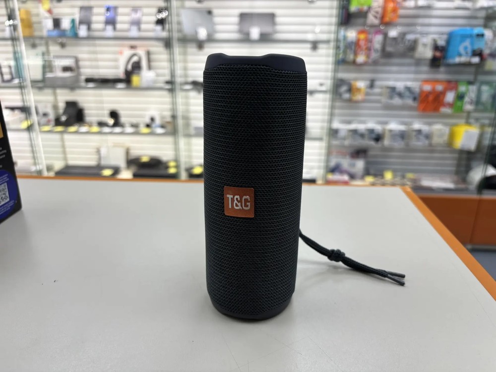 Портативная акустика T&G 