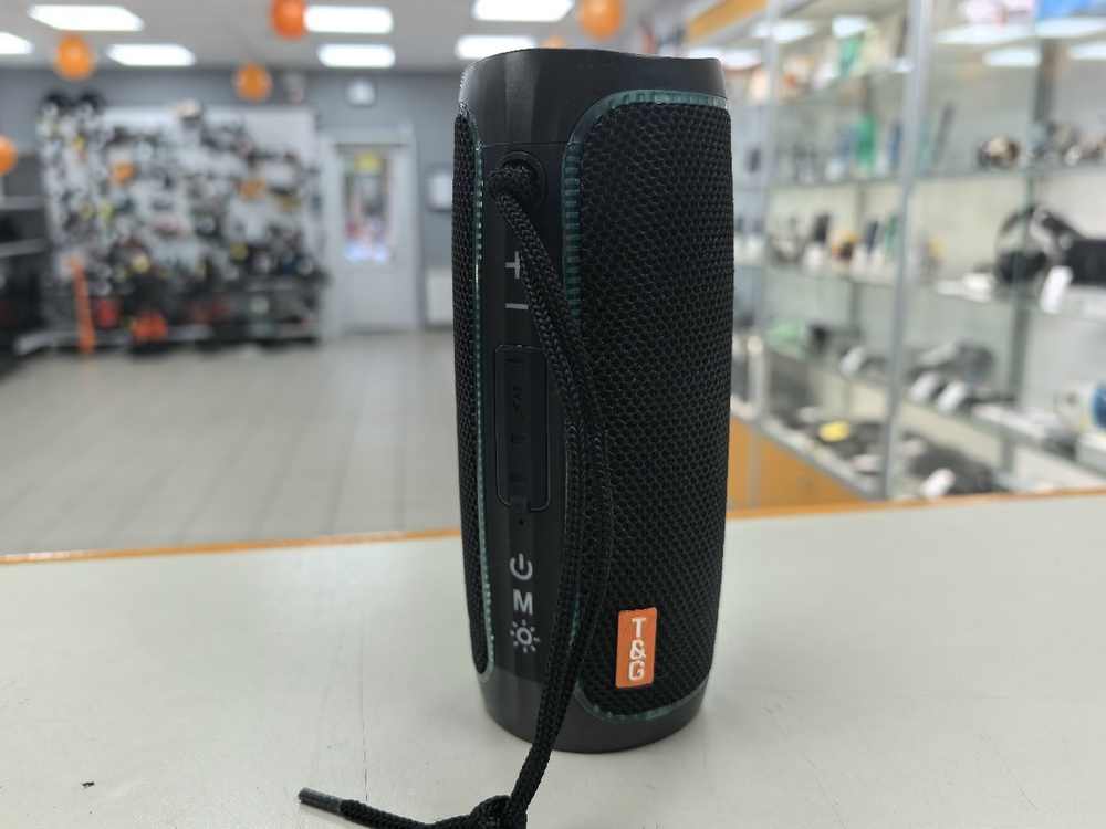 Портативная акустика T&G TG-288