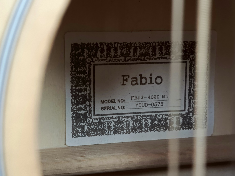 Гитара акустическая Fabio FB12 4010
