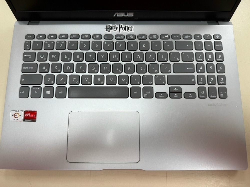 Ноутбук ASUS; Silver 3050U, Radeon Graphics, 6 Гб, 480 Гб, Нет