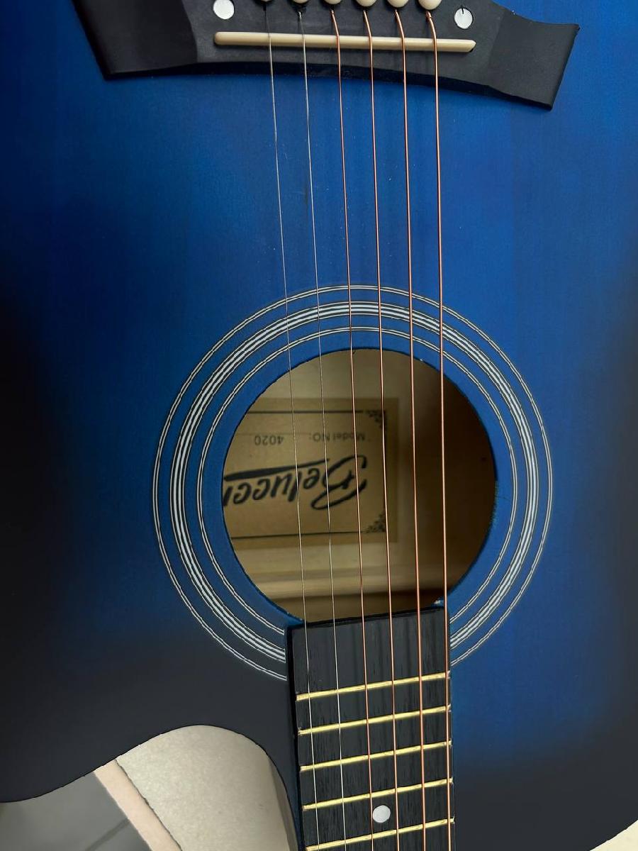 Гитара акустическая Belucci BC4020 BLS