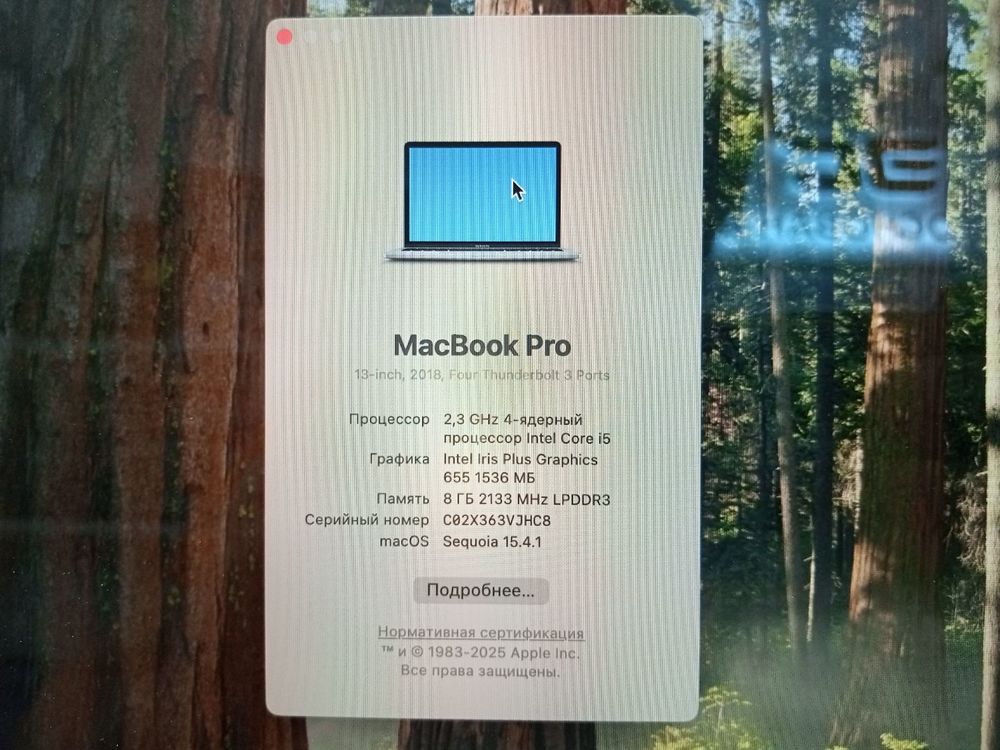 Ноутбук Apple Macbook Pro 13 A1989 2018 8/256
