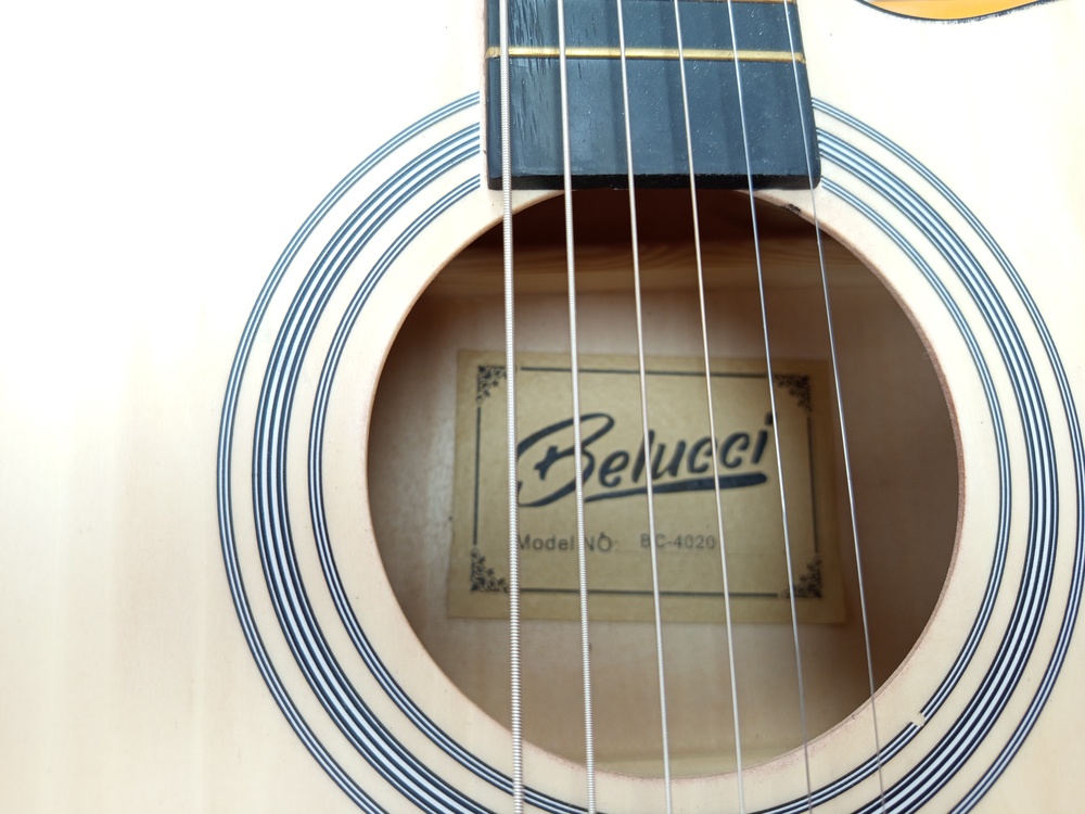 Гитара акустическая Belucci BC4020