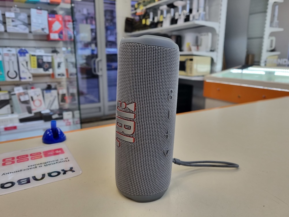 Портативная акустика JBL Flip 6;