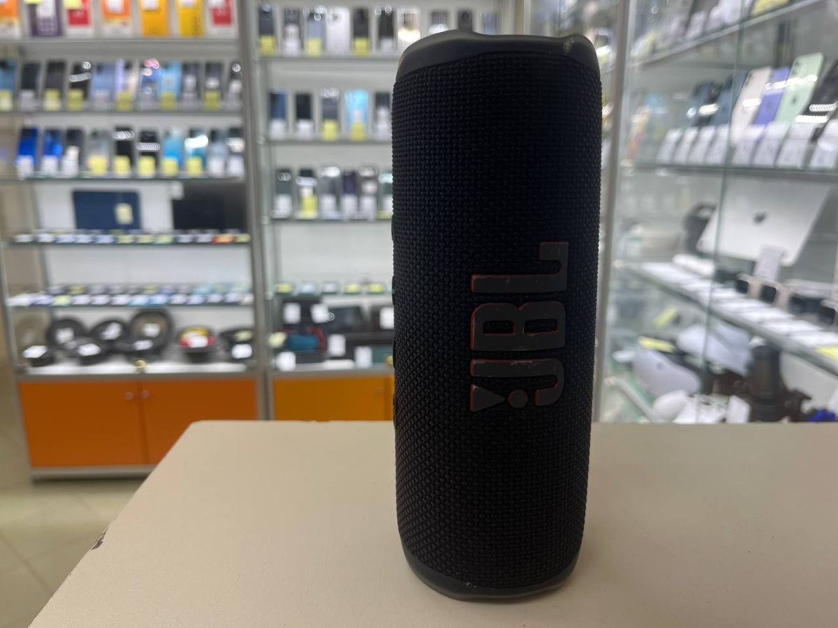Портативная акустика JBL Flip 6;