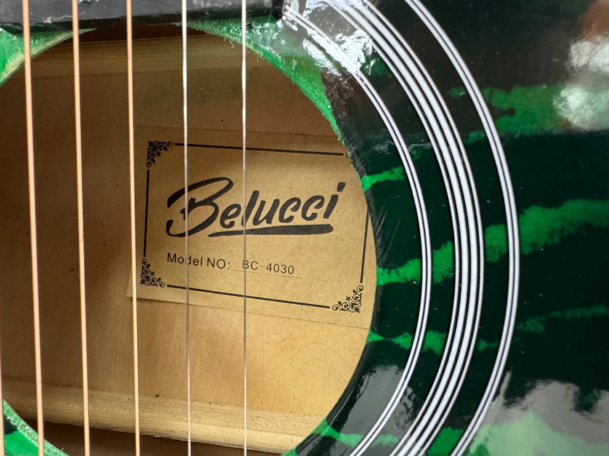 Гитара акустическая Belucci BC4030 GR