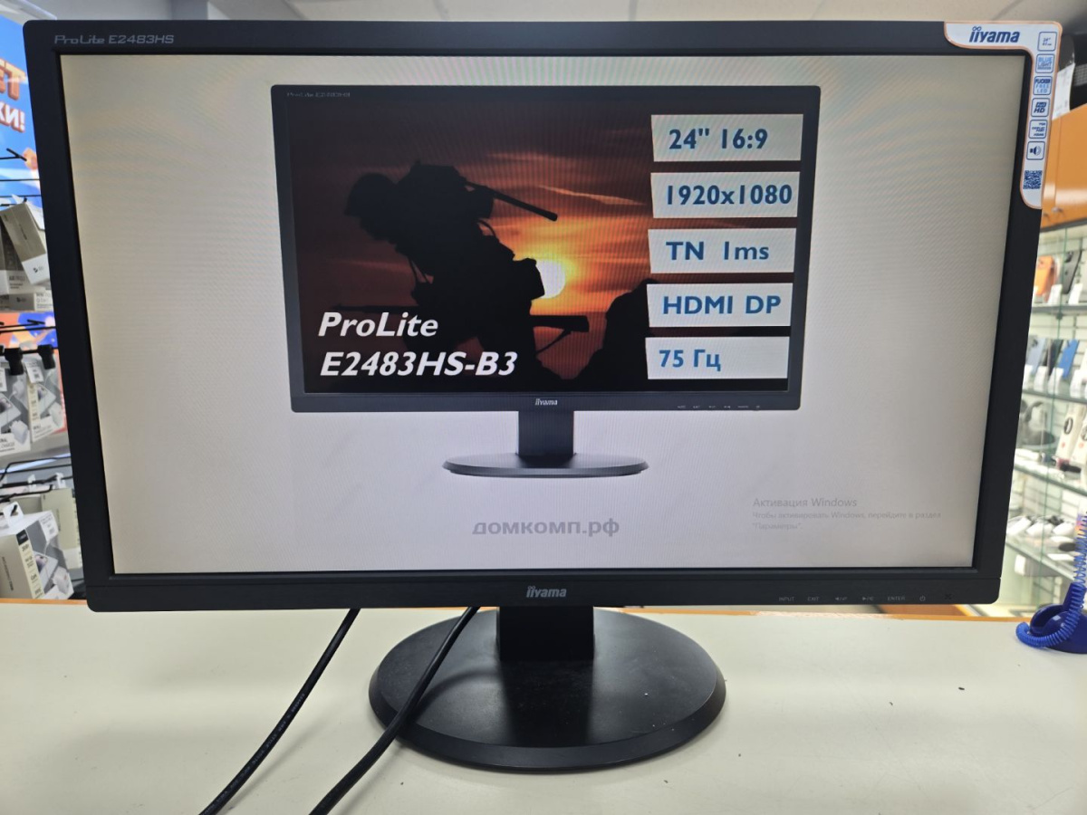 Монитор IIyama PL2483H