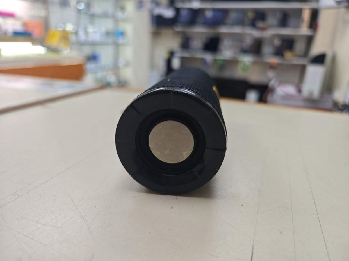 Портативная акустика T&G 113