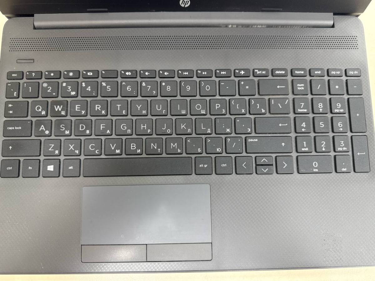 Ноутбук HP; Pentium Gold 6405U, HD Graphics, 4 Гб, 240 Гб, Нет