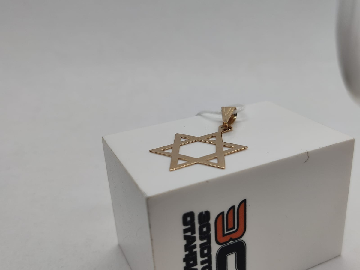 ПОДВЕСКА БЕЗ КАМНЯ Au 585